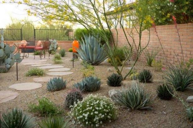 Wartungsarme Wüsten-Landschaftsbau-Ideen